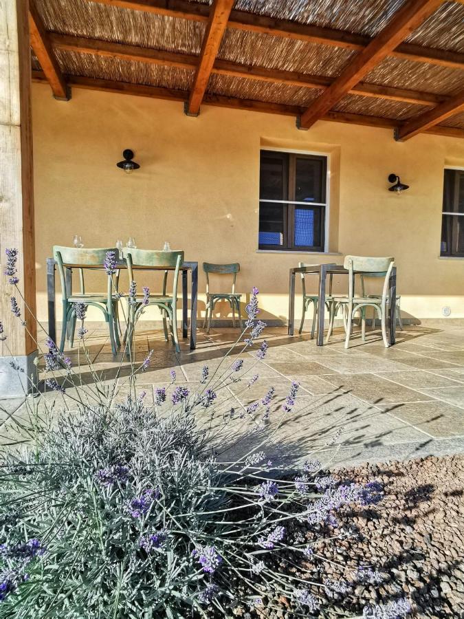 Agriturismo Casa Ricci Magliano in Toscana Luaran gambar