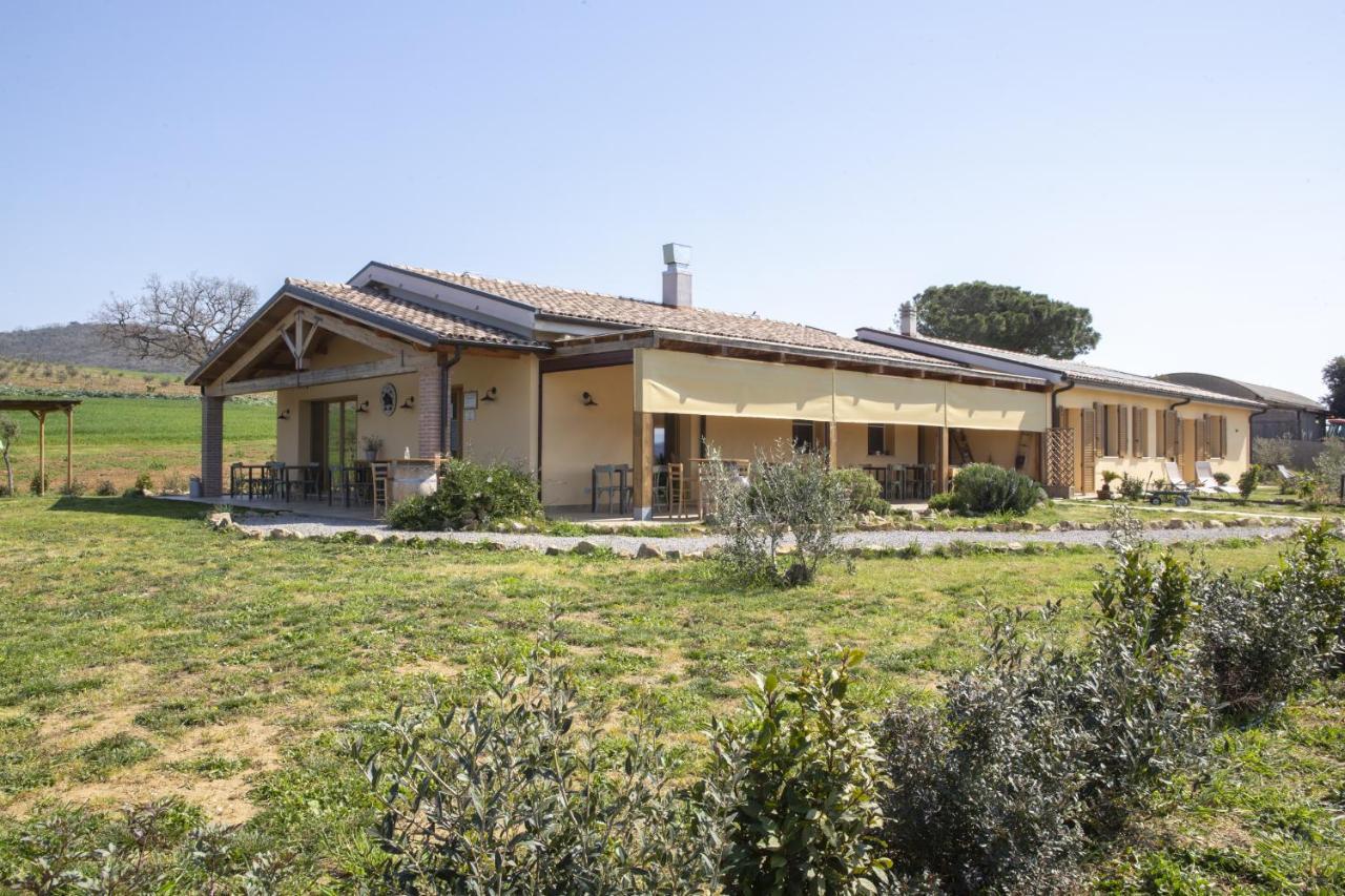 Agriturismo Casa Ricci Villa Magliano in Toscana Luaran gambar