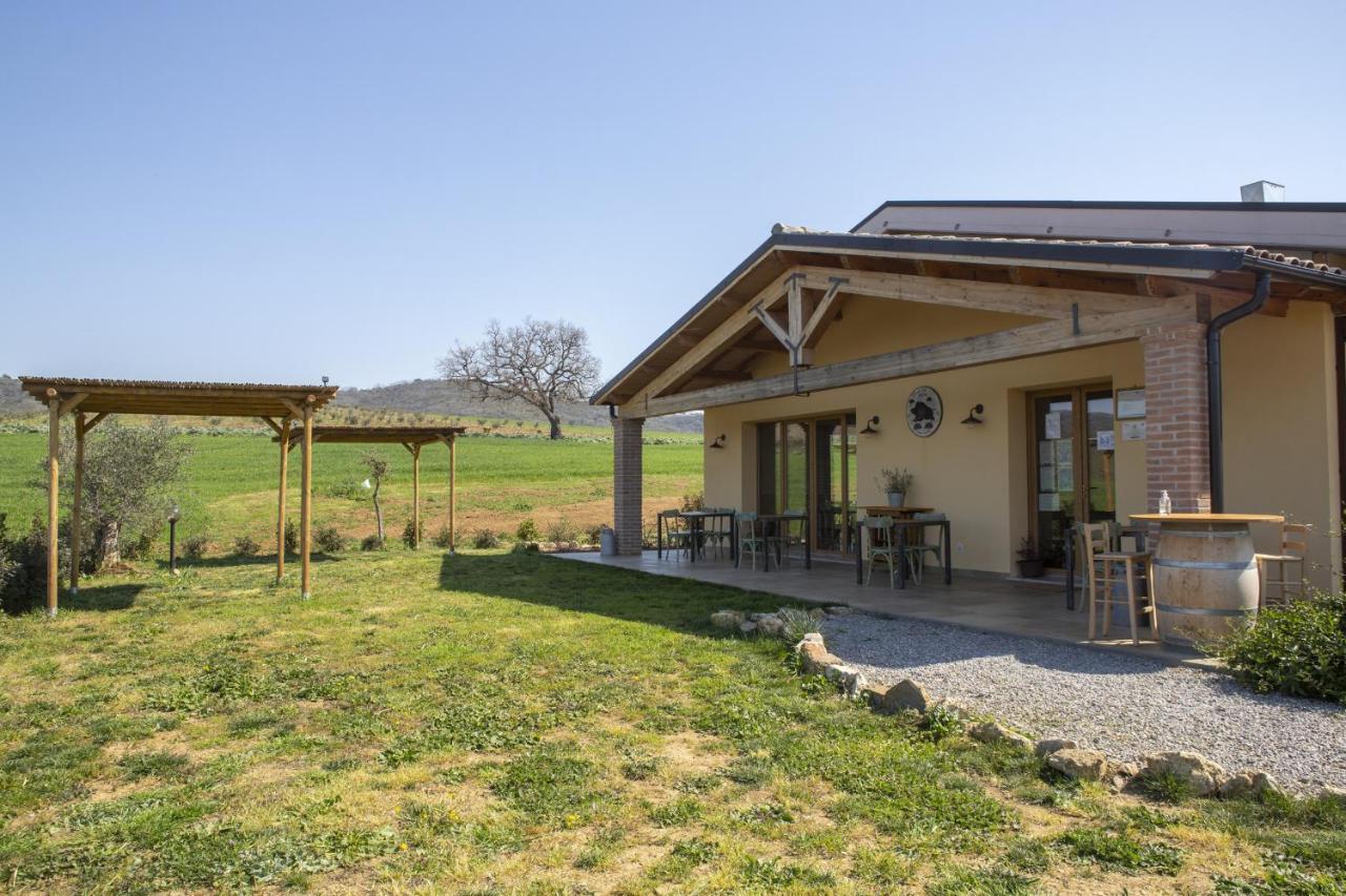 Agriturismo Casa Ricci Magliano in Toscana Luaran gambar
