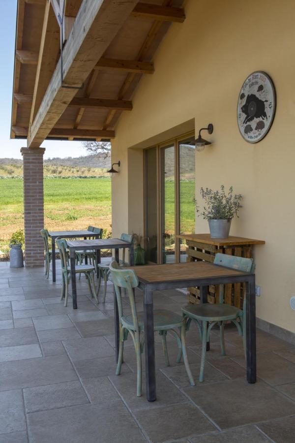 Agriturismo Casa Ricci Magliano in Toscana Luaran gambar