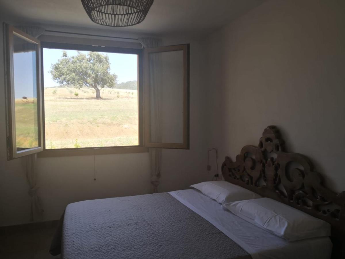 Agriturismo Casa Ricci Magliano in Toscana Luaran gambar