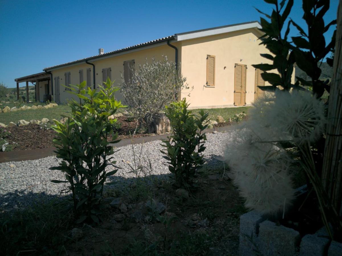 Agriturismo Casa Ricci Magliano in Toscana Luaran gambar