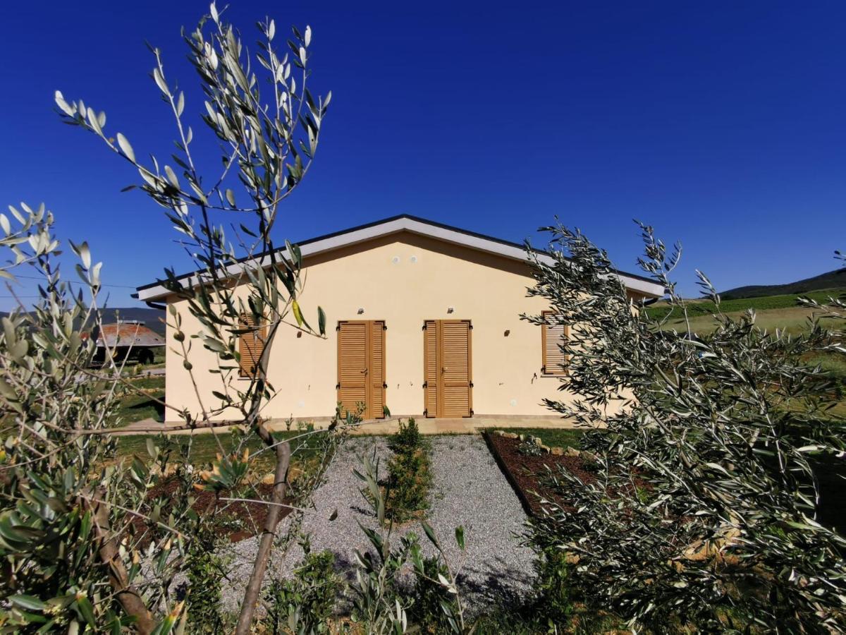 Agriturismo Casa Ricci Magliano in Toscana Luaran gambar